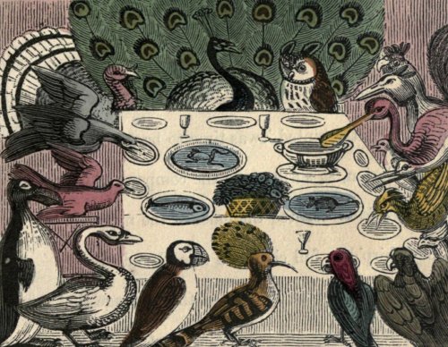 This Tea Party is For the Birds