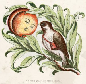 The Fruit Queen and the Sparrow