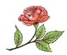 Rose Clip Art