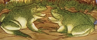 Green Frogs