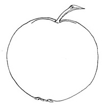 Apple Outline