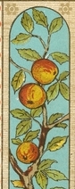 Branch of Peaches