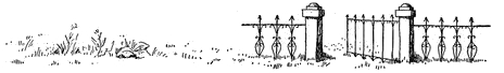 Garden Gate Drawing