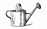 Watering Can Drawing