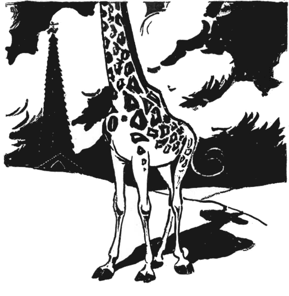 Tall Giraffe