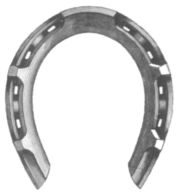 GoodEnough Horse Shoe