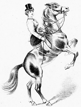 The Equestrian