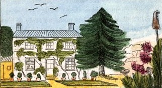 White House Drawing