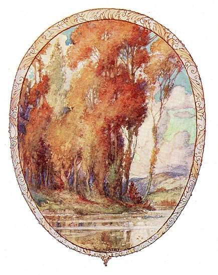 Fall Landscape