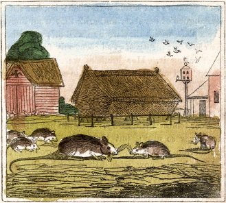 Drawing of Mice in Barnyard