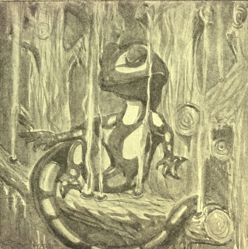 Mythological Salamander Drawing