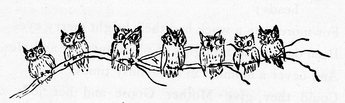 7 Little Owls