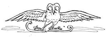 Owl on Skis