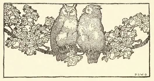Mr. & Mrs. Owl