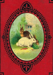Rabbit Cover Art