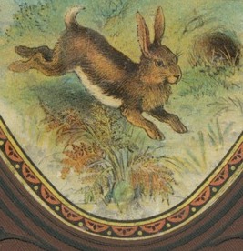 Bunny Cover Art