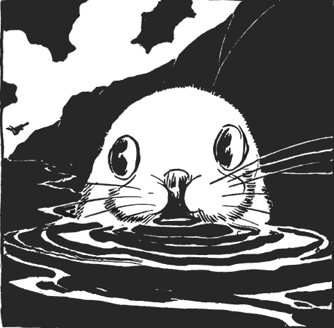 White Seal Drawing