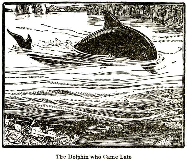 Dolphin Image