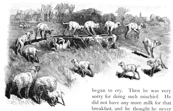 Playful Lambs Drawing