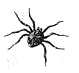 Small Spider Drawing
