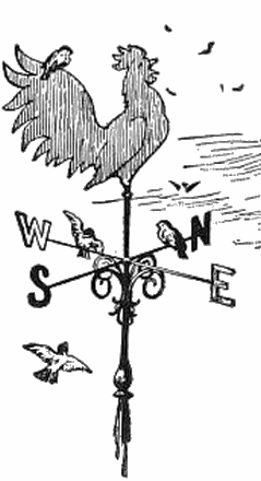 Weather Vane Drawing