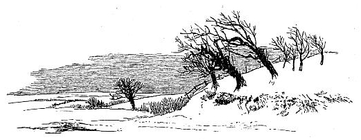 Simple Snow Scene Drawing