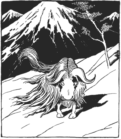 Yak Drawing