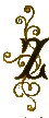 Fancy Letter Z Image