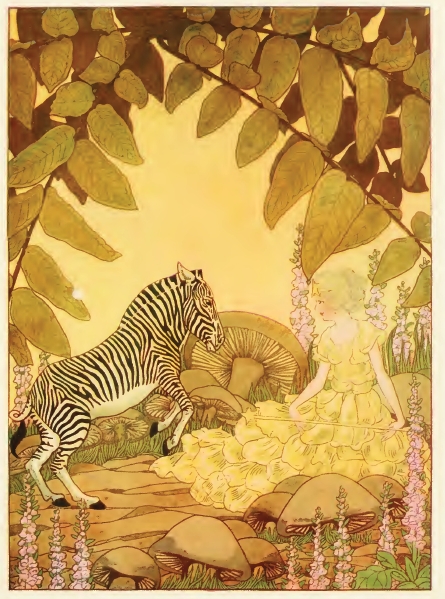 The Zebra & The Fairy