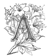 Fancy Letter A Image