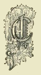 Letter C Drawing