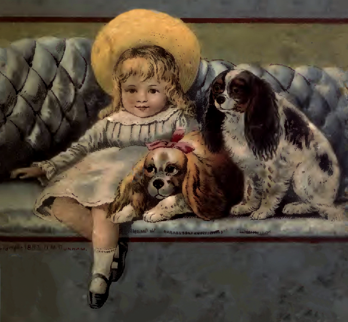 boy with dogs