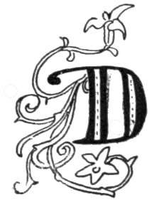 The Letter D