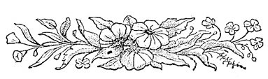 Black and White Flower Border