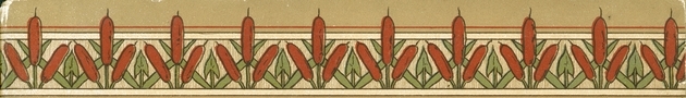 Cat Tail Border Image