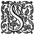 Fancy Letter S