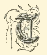 Fancy Letter T Image