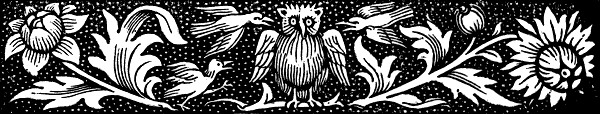 Owl & Birds Border