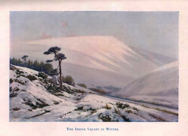 winter-Widgery