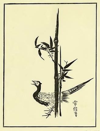 pheasant and bamboo drawing