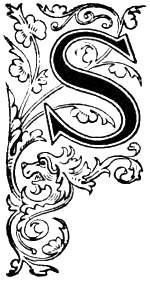 letter s design