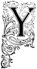 letter y design