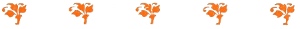 orange-flower-border
