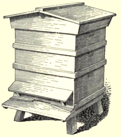 bee-hive