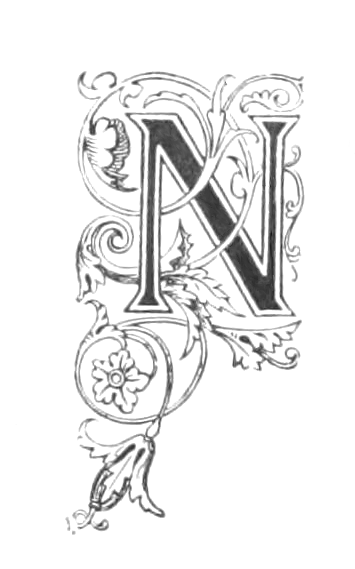 letter n design