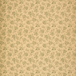 vintage green floral endpaper