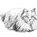 vintage white sitting cat drawing