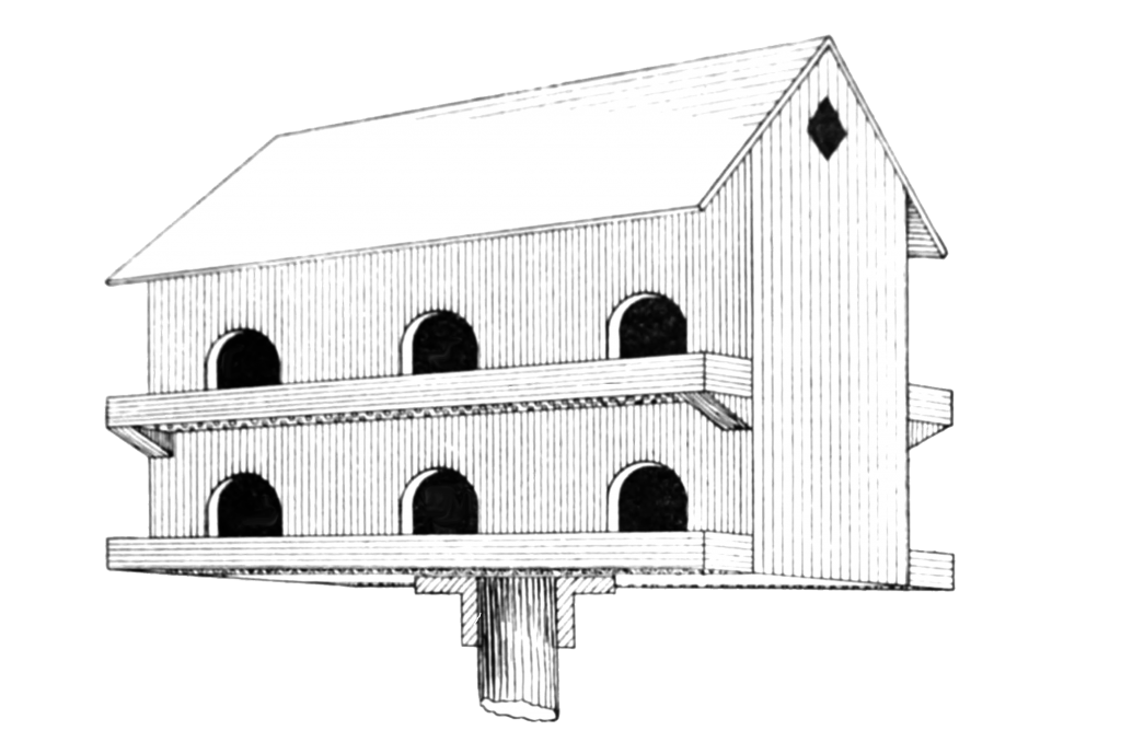 barn birdhouse drawing