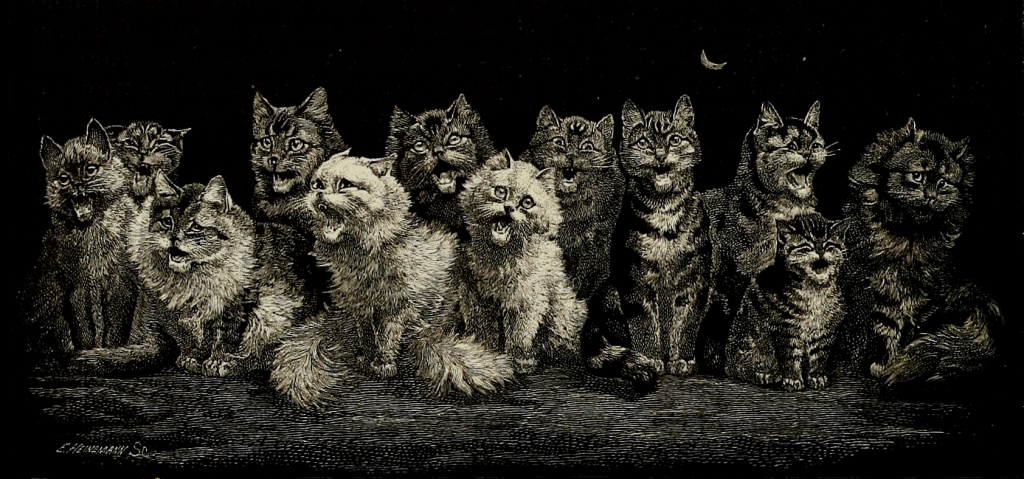 cat chorus howling at the moon