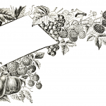 Vintage Fruit Heading with room for text